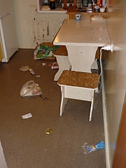 click for enlarge 768 X 1024 489,5 Kb picture