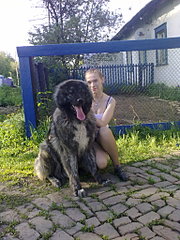 click for enlarge 1536 X 2048 768,2 Kb picture