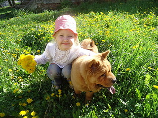 click for enlarge 1920 X 1440 516,9 Kb picture