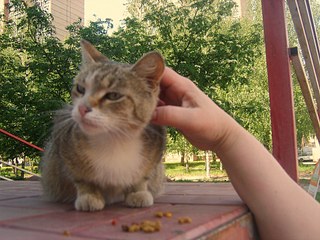 click for enlarge 1920 X 1440 675,7 Kb picture