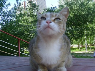 click for enlarge 1920 X 1440 734,4 Kb picture