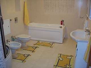 click for enlarge 400 X 300  22,6 Kb picture