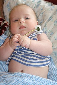 click for enlarge 402 X 604 52,9 Kb picture
