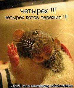 click for enlarge 375 X 450 31,4 Kb picture