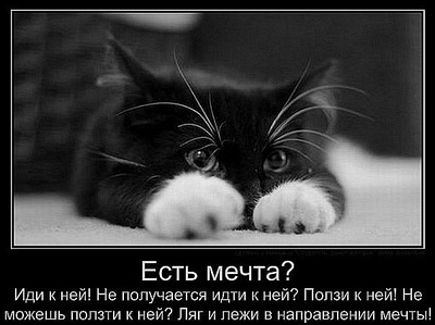 click for enlarge 604 X 452 59,6 Kb picture