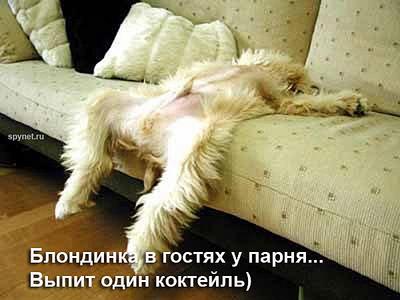 click for enlarge 600 X 450 791,1 Kb picture