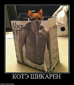 click for enlarge 525 X 604 54,9 Kb picture