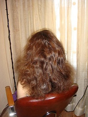 click for enlarge 600 X 800 191,7 Kb picture