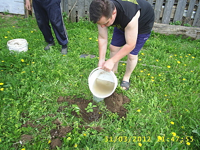 click for enlarge 1600 X 1200 415,5 Kb picture