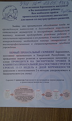 click for enlarge 1552 X 2592 310,3 Kb picture