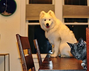 click for enlarge 625 X 495 48,1 Kb picture