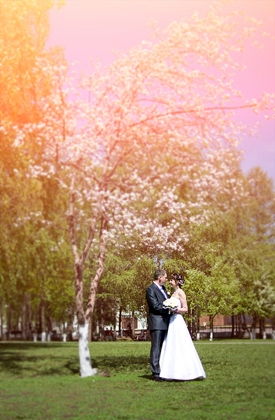 click for enlarge 524 X 800 318,1 Kb picture