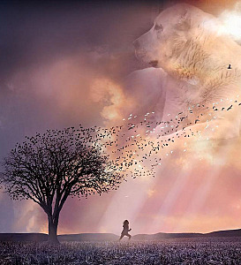 click for enlarge 546 X 600 101,8 Kb picture
