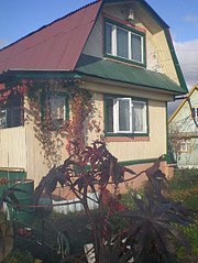 click for enlarge 453 X 604  67,8 Kb picture