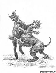 click for enlarge 500 X 650 53,9 Kb picture
