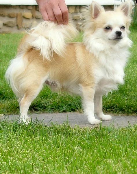 click for enlarge 733 X 926 101,1 Kb picture