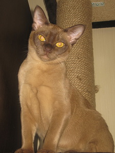 click for enlarge 1704 X 2272 937,8 Kb picture