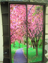 click for enlarge 1601 X 2099 700,5 Kb picture