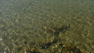 click for enlarge 1920 X 1080 473.5 Kb picture