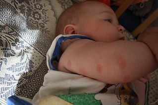 click for enlarge 604 X 403 48.2 Kb picture