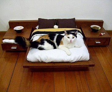 click for enlarge 500 X 410  37.8 Kb picture