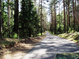 click for enlarge 1024 X 768 315.9 Kb picture