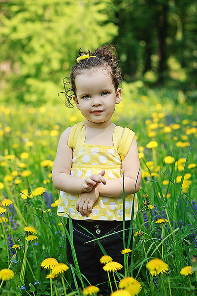 click for enlarge 640 X 960 639.7 Kb picture