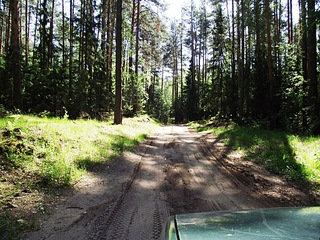 click for enlarge 1024 X 768 417.2 Kb picture