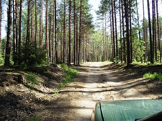 click for enlarge 1024 X 768 412.6 Kb picture