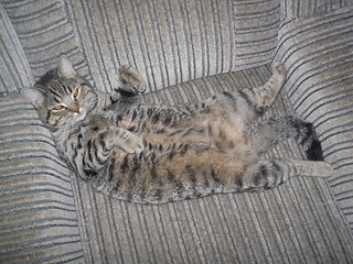 click for enlarge 1920 X 1440 863.9 Kb picture