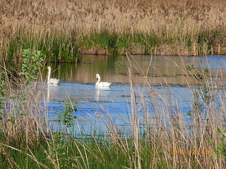 click for enlarge 1920 X 1440 453.4 Kb picture