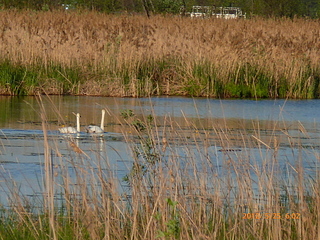 click for enlarge 1920 X 1440 359.6 Kb picture