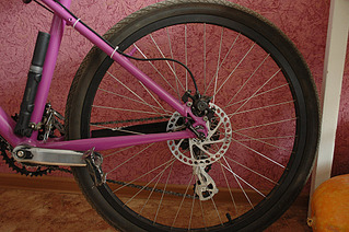 click for enlarge 1920 X 1276 855.6 Kb picture