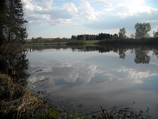 click for enlarge 1920 X 1440 747.2 Kb picture