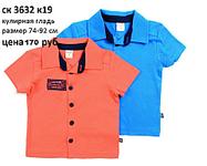 click for enlarge 960 X 768 61.0 Kb picture