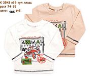 click for enlarge 960 X 768 75.3 Kb picture