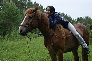 click for enlarge 1280 X 851 207.4 Kb picture