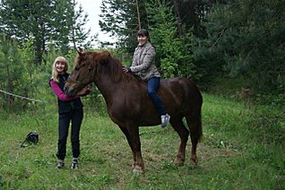 click for enlarge 1280 X 851 308.9 Kb picture