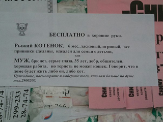 click for enlarge 600 X 450 328.8 Kb picture