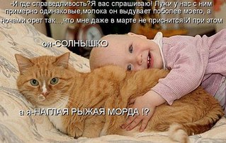 click for enlarge 570 X 363 64.4 Kb picture