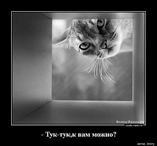 click for enlarge 700 X 651 64.5 Kb picture