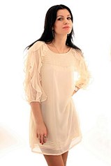 click for enlarge 402 X 604 21.8 Kb picture