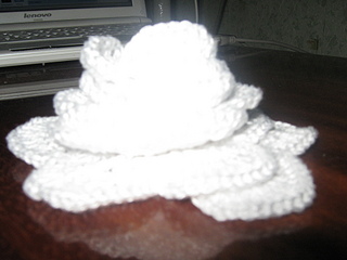 click for enlarge 1920 X 1440 677.5 Kb picture