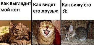 click for enlarge 440 X 210  28.8 Kb picture