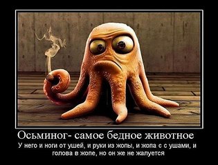 click for enlarge 604 X 459  65.5 Kb picture