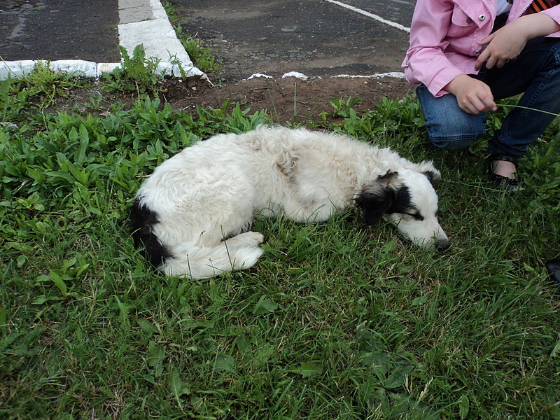 click for enlarge 1920 X 1440 403.0 Kb picture