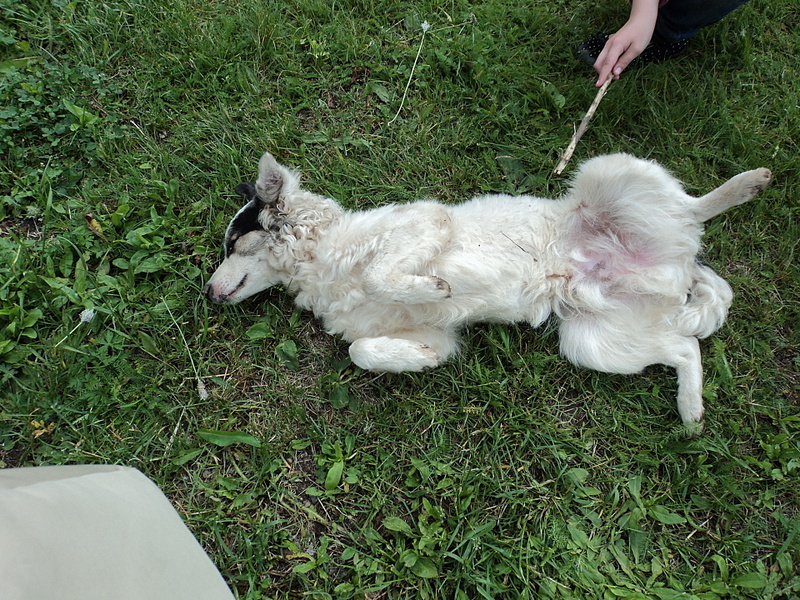 click for enlarge 1920 X 1440 466.3 Kb picture