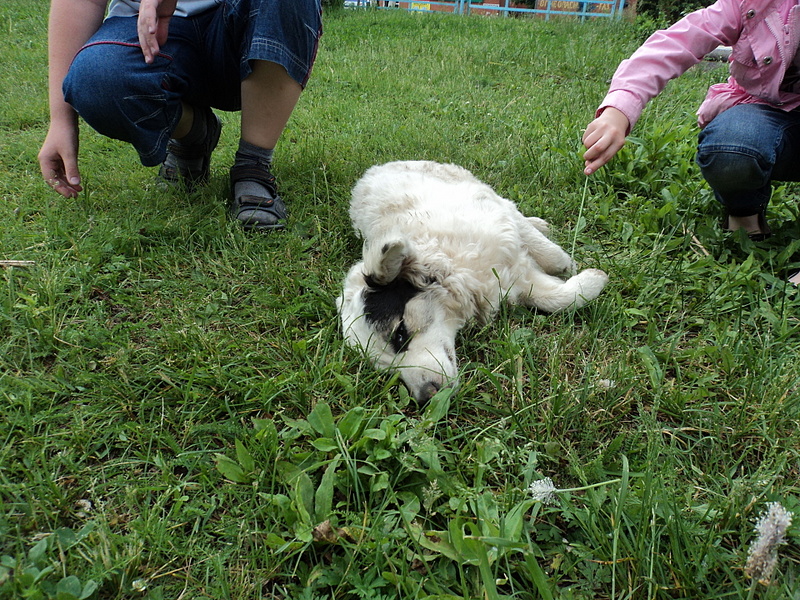 click for enlarge 1920 X 1440 448.0 Kb picture