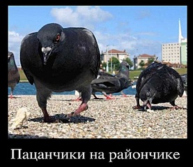 click for enlarge 604 X 522  94.3 Kb picture