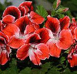 click for enlarge 700 X 668 487.4 Kb picture